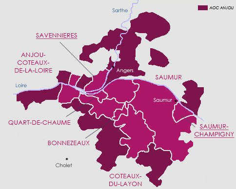 Anjou Saumur vignoble