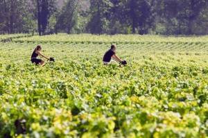 rencontre vouvray