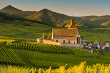 Découverte grands crus alsace