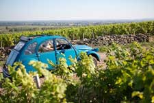 Séjour vinicole en Champagne