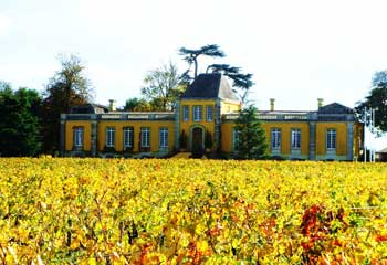 Séjour vin Saint-Estèphe