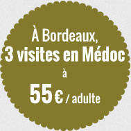 Sur les chemins des vignobles