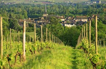 Loire organic wines tasting