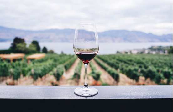 Rhone Valley wine tours