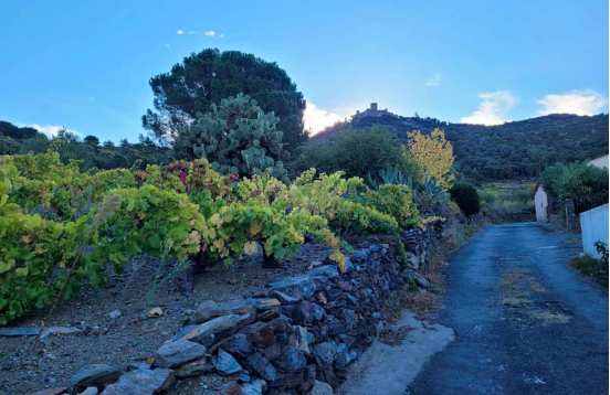 Randonnées vignoble Languedoc-Roussillon