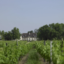 Graves and Pessac-Léognan day trip