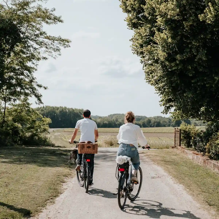 Biking stay in Saint-Emilion