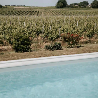 Pool and relaxation on a wine estate in Lussac