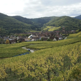 Day on the Alsace wine route