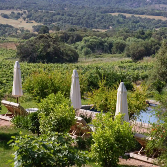 Stay in the vineyards near Bonifacio