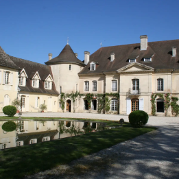 Tour of the Graves and Sauternes vineyards