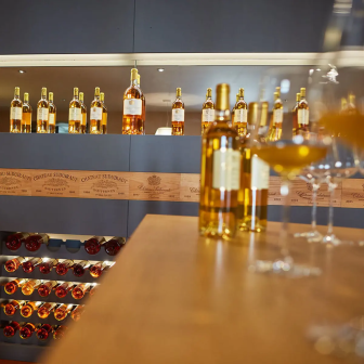 Visit and tasting in the Sauternes area