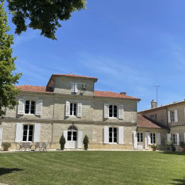 Discovering Bordeaux wines