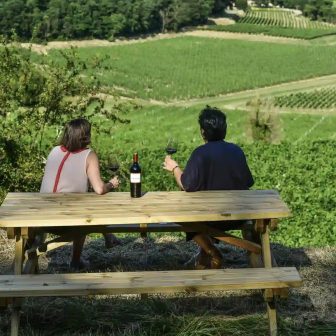 Bordeaux wine tasting in the vineyards