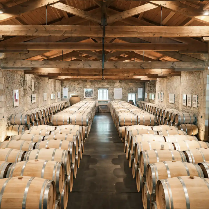 Explore Saint-Emilion – Cellar tours & tastings