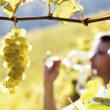 Luxury wine getaway for two in Saint-Émilion