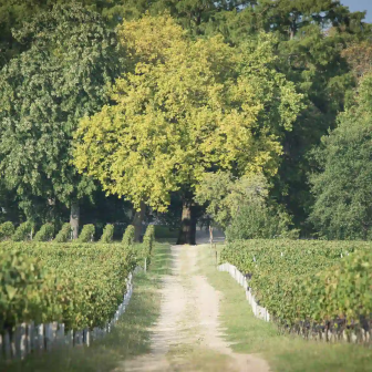 Romantic getaway in the Saint-Émilion vineyards