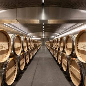 Visit to a wine estate in Saint-Estèphe