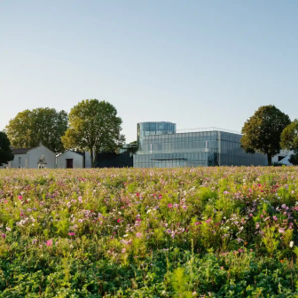 Getaway along the Médoc château route