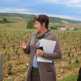 Guided vineyard walk from Gevrey-Chambertin