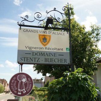 Wine estate visit in Wettolsheim