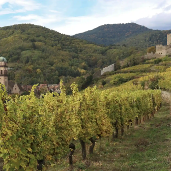 Romantic stay in the Alsace vineyards