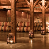 Médoc wine workshop