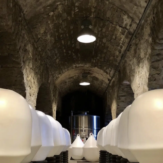 Wine stay in the Basque Country