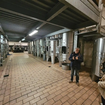 Vat room tour to discover Bordeaux wines