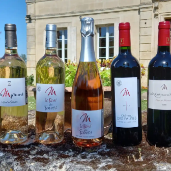 Bordeaux wine tasting gift box