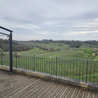 Discover the Bordeaux vineyards