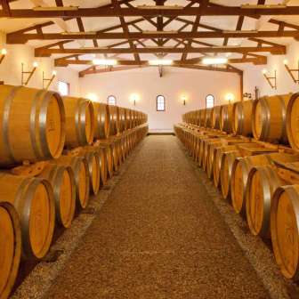 Winery tour to discover Bordeaux wines