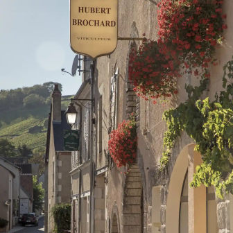 Meet Sancerre winemakers