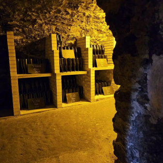 Cellar tour in Boursault