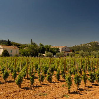 Weekend in the Saint-Chinian vineyards