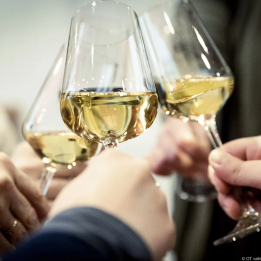 Discover Alsace Grands Crus