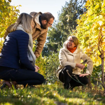 Vineyard visit in the Kaysersberg Valley