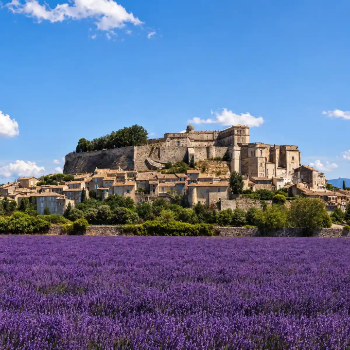 Tasting weekend in the Drôme