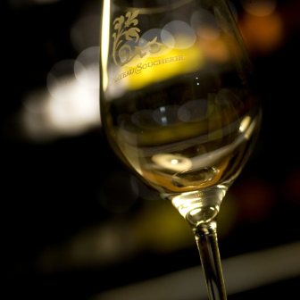 Exceptional wine tasting in Anjou, Loire Valley