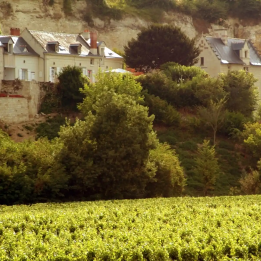Gift for exploring the Loire Valley
