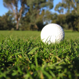 Saint-Émilion golf