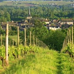 Organic Loire wine tasting