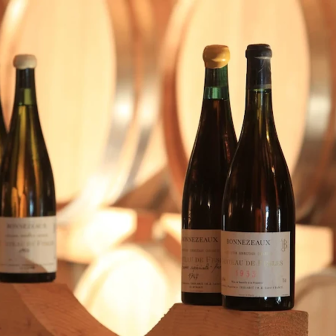 Tasting of Savennières, Anjou and Bonnezeaux wines in the Loire Valley