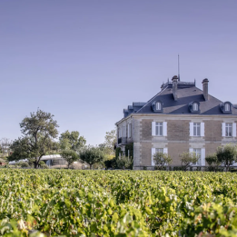 Wine stay in the Graves vineyard