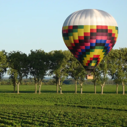 Exclusive wine experiences in Burgundy