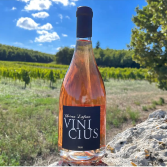 Organic wine tasting stay in Provence