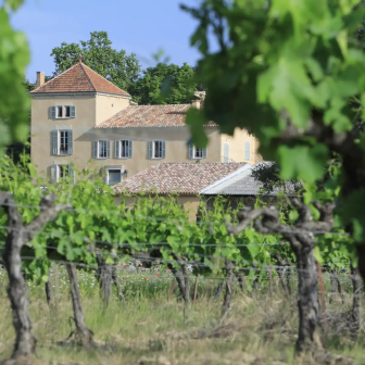 Wine stay in Sainte-Baume Regional Park