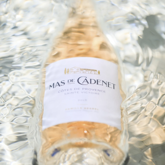 Wine and gastronomy during a stay in Provence