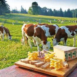 Gourmet stay in the Jura
