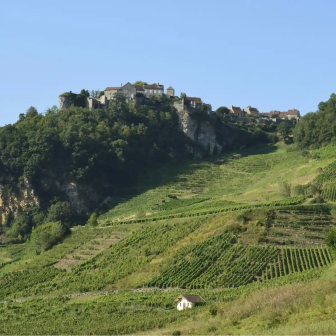Discover the Jura vineyards